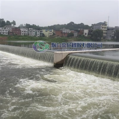 স্বয়ংক্রিয় স্পিলওয়ে গেট সমর্থন বাঁধ
